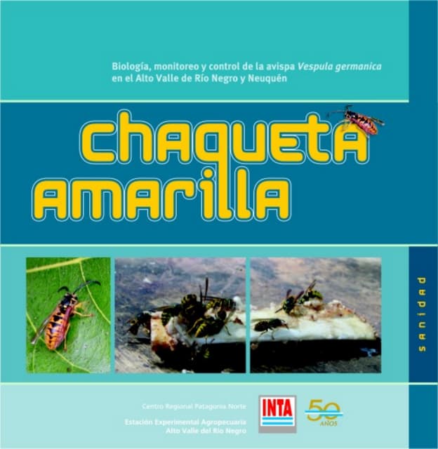 Chaq ama