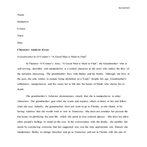 Character analysis essay
