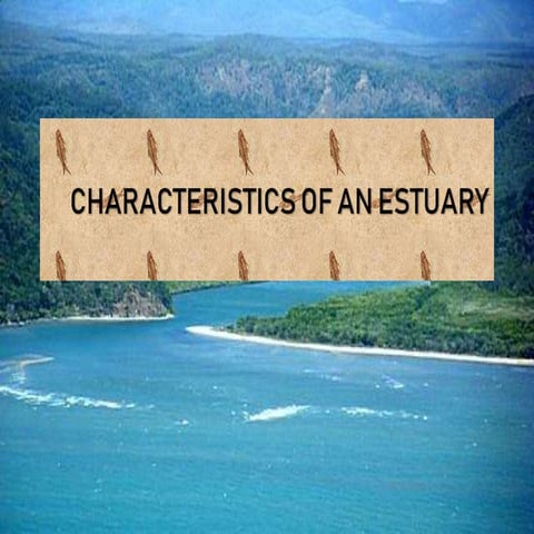 Characteristics of an estuary | PPTX