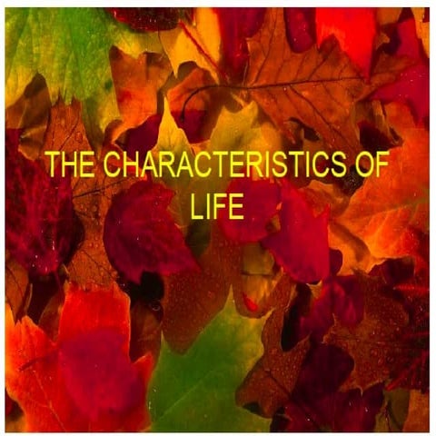 Characteristics of life