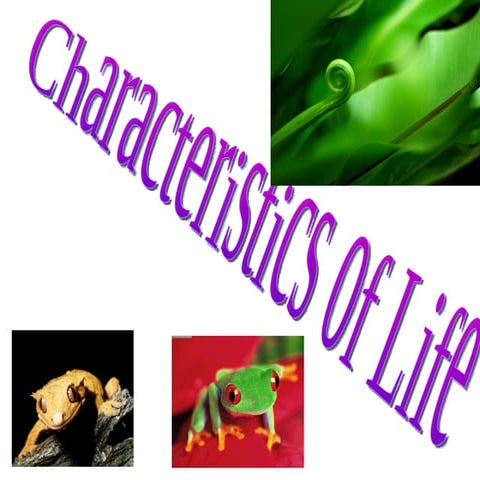 Characteristics of life