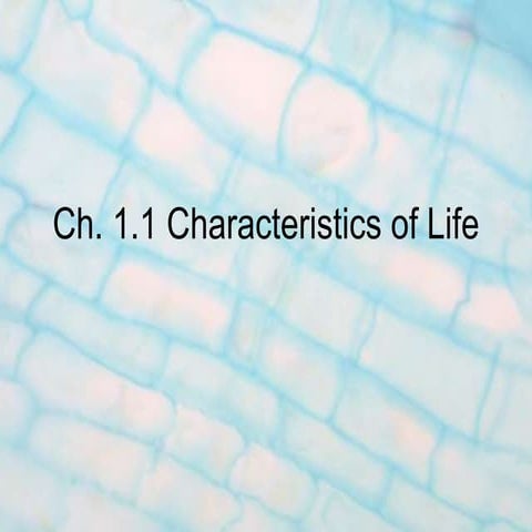 Characteristics of life notes review