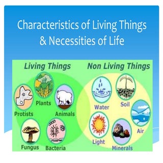 Characteristics of Living Things Notes