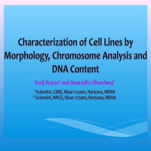 Characterization of Cell Line