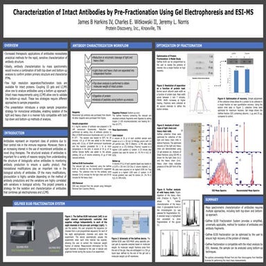 Characterization of intact antibodies by pre-fractionation using gel electrophoresis and ESI-MS