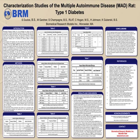 POSTER: Characterization studies of the mad rat: Type 1 Diabetes