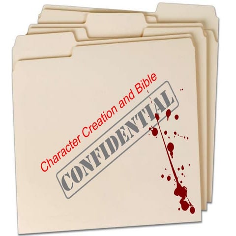 Character profile "The Sinner" 