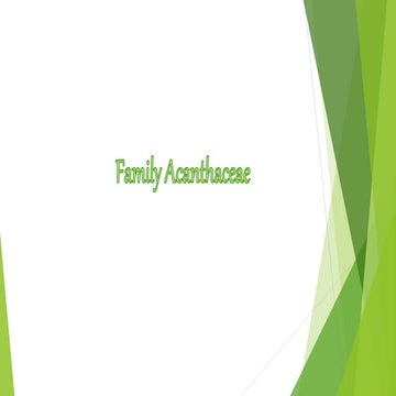 Characters of acanthaceae