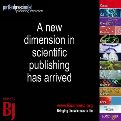 Adam Marshall Charelston Utopia Presentation