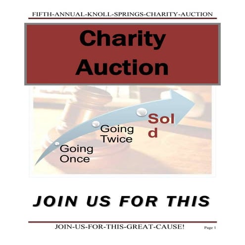 Charity auction