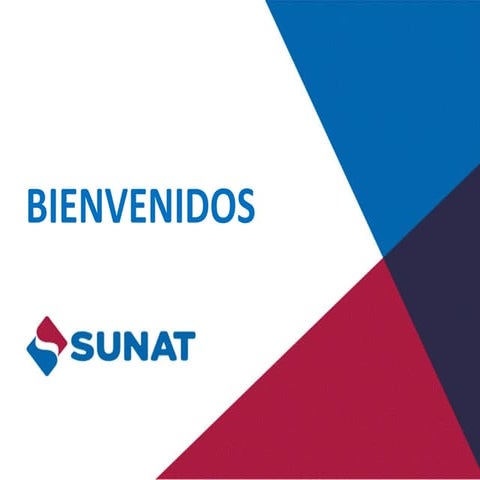 PRESENTACION DEL NUEVO REGIMEN RESICO.pptx