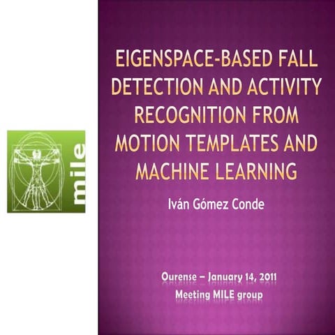 MVFI Meeting (January 14th, 2011)