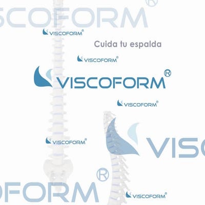 Presentación Conferencia Int. Empar (Viscoform)