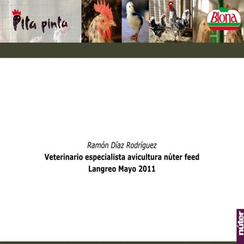 Charla pita pinta langreo