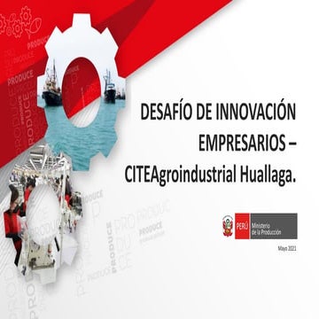 Charla Desafío de innovación - CITE - Perú