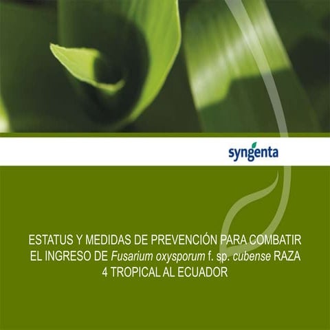 Charlas Ec Foc R4T s.pptx