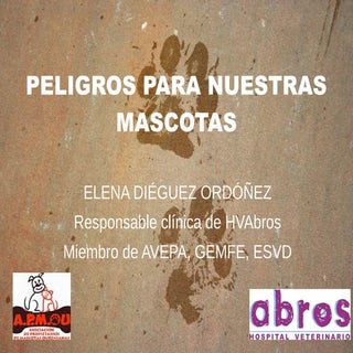 Los peligros que pueden afectar a n...