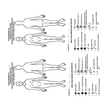 Charting | PDF