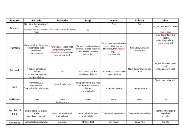 Life Classification Chart