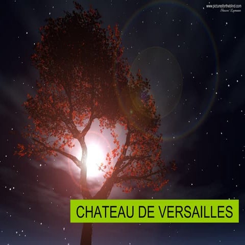 Chateau Versailles