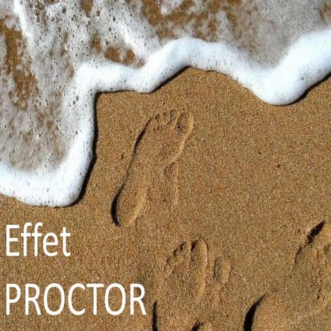 Pathologies de chaussées