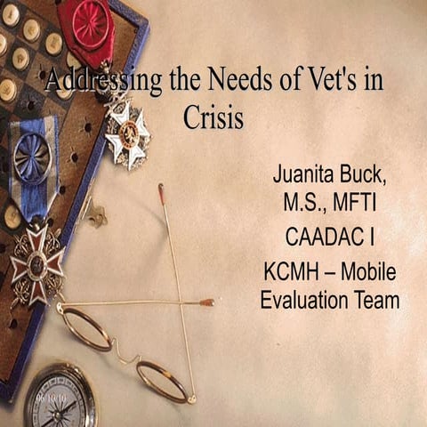 Addressing the Needs of Vet's in Crisis