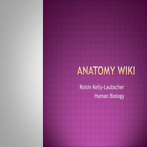 Anatomy wiki