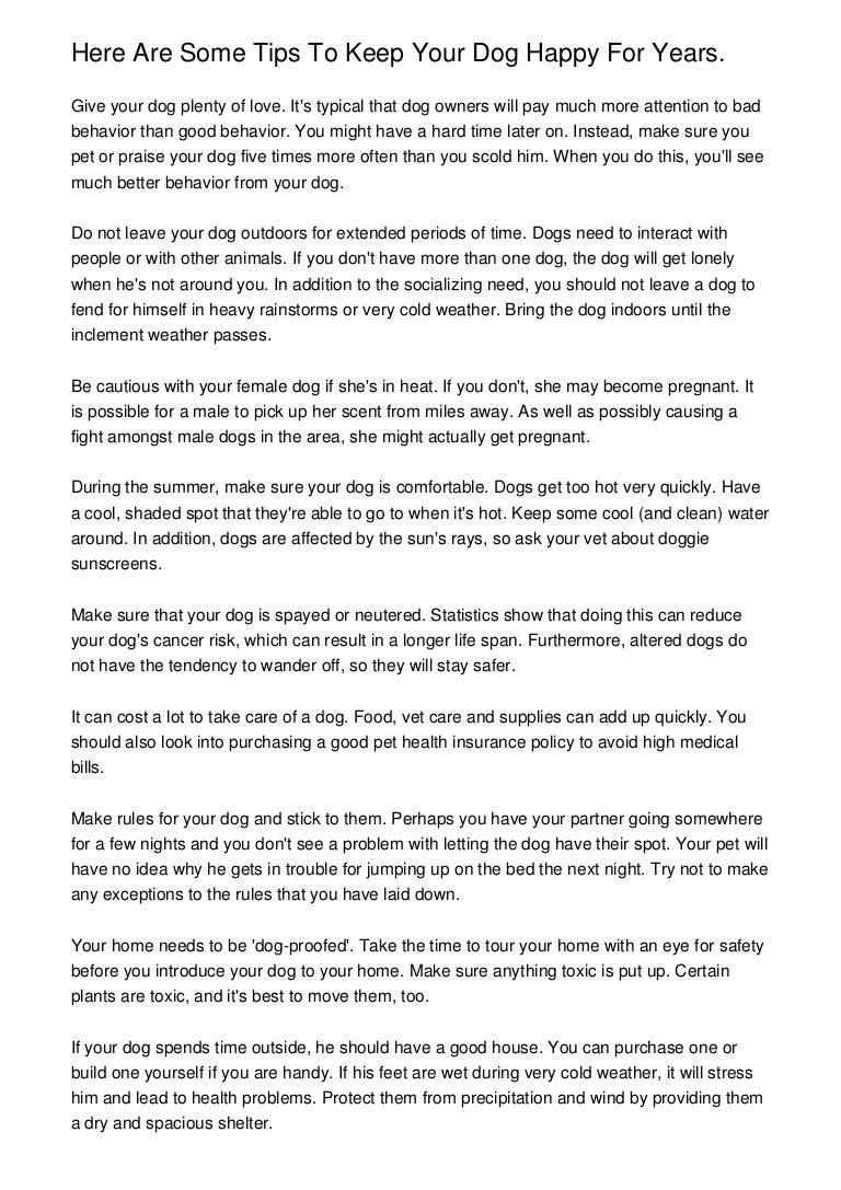 how to add up dog years