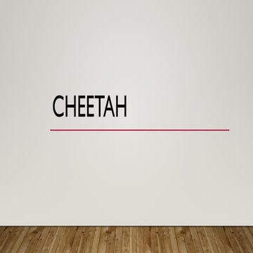 Cheetah.animal. wild in the jungle for kids