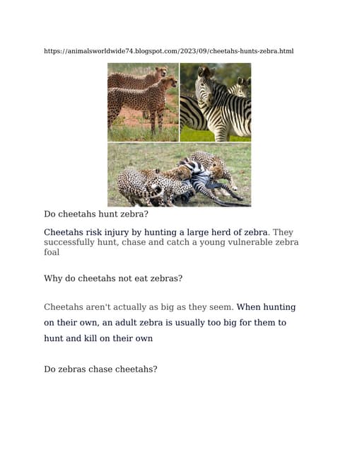 cheetahs-hunts-zebra.PDF