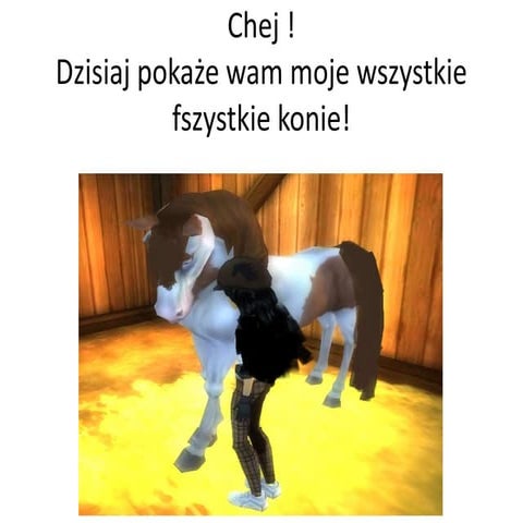 Moje konie