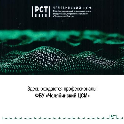 ФБУ «Челябинский ЦСМ» | PPT