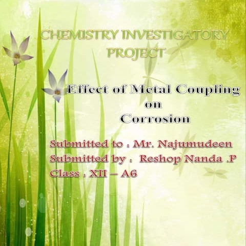Chemistry investigatory project on Effect of Metal Coupling on  Corrosion