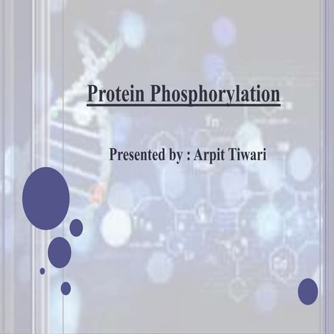 protein phosphorylation