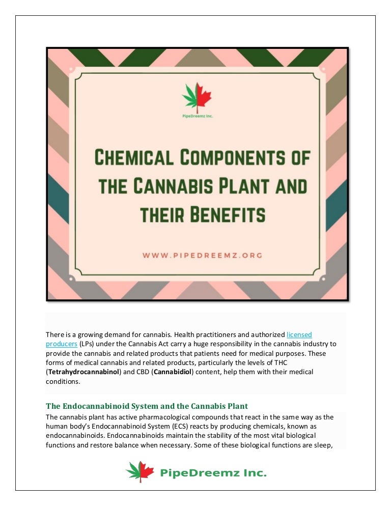 Chemical components of the cannabis plant and their benefits