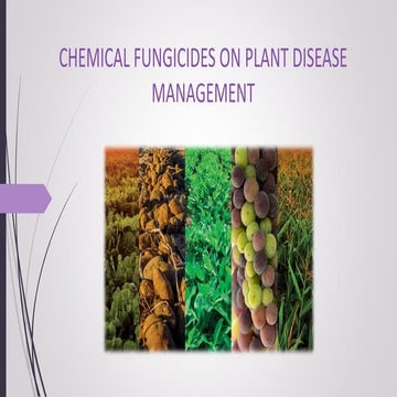 Chemical fungicides on plant disease management.pptx