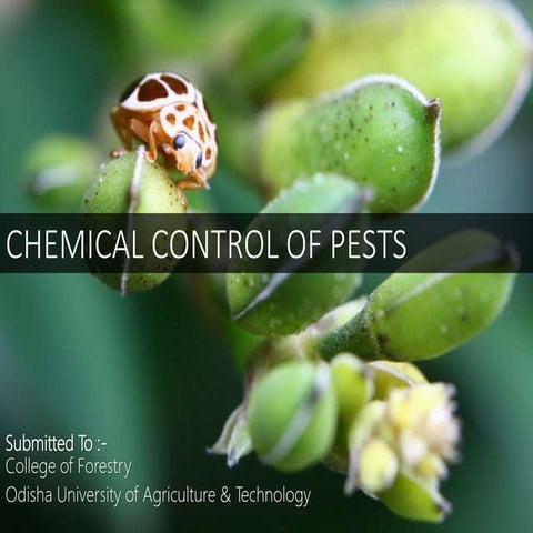 Chemical control of insect pest in cultivation | PPTX | Gardening ...
