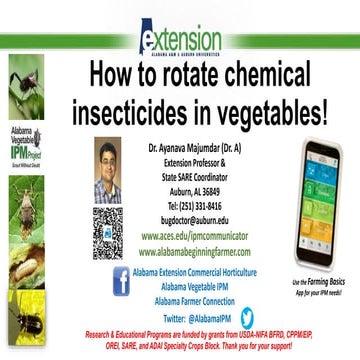 Chemical insecticide rotations in vegetable crops (2021 Webinar) | PPTX