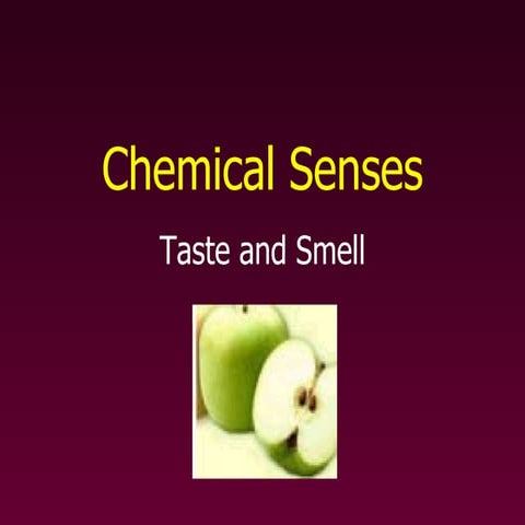Chemical Senses