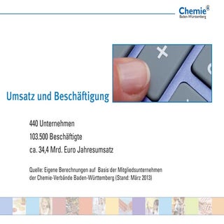 Chemie bw mitgliederstruktur_2013