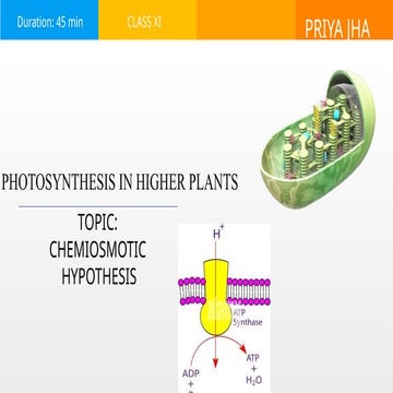 CHEMIOSMOTIC HYPOTHESIS_PRIYA JHA KVS.pptx