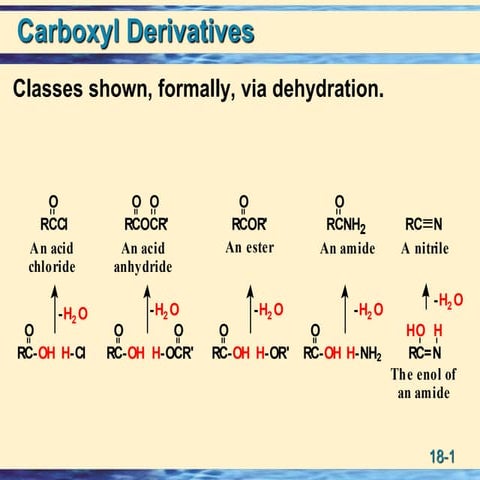 Amide bond formation | PPSX