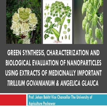 Green synthesis, characterization and Biological Evaluation of ...
