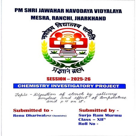 Chemistry Investigatory Project 2025-26 for Class 12 | PDF