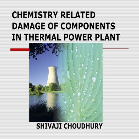 Chemistry related damage of components in thermal power plant