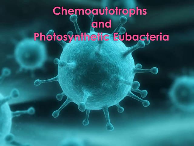 Chemoautotrophs and photosynthetic eubacteria