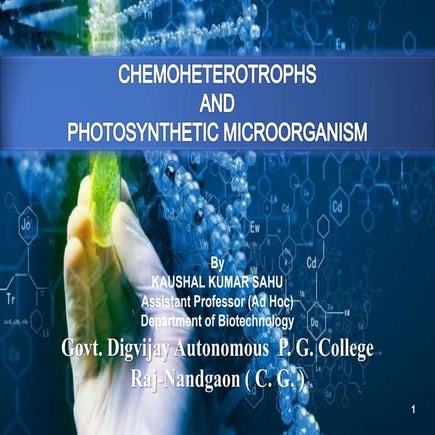 Chemoheterotrophs and photosynthetic microorganism