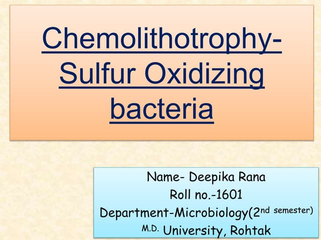 Chemolithotrophy                    sulfur oxidation metabolism