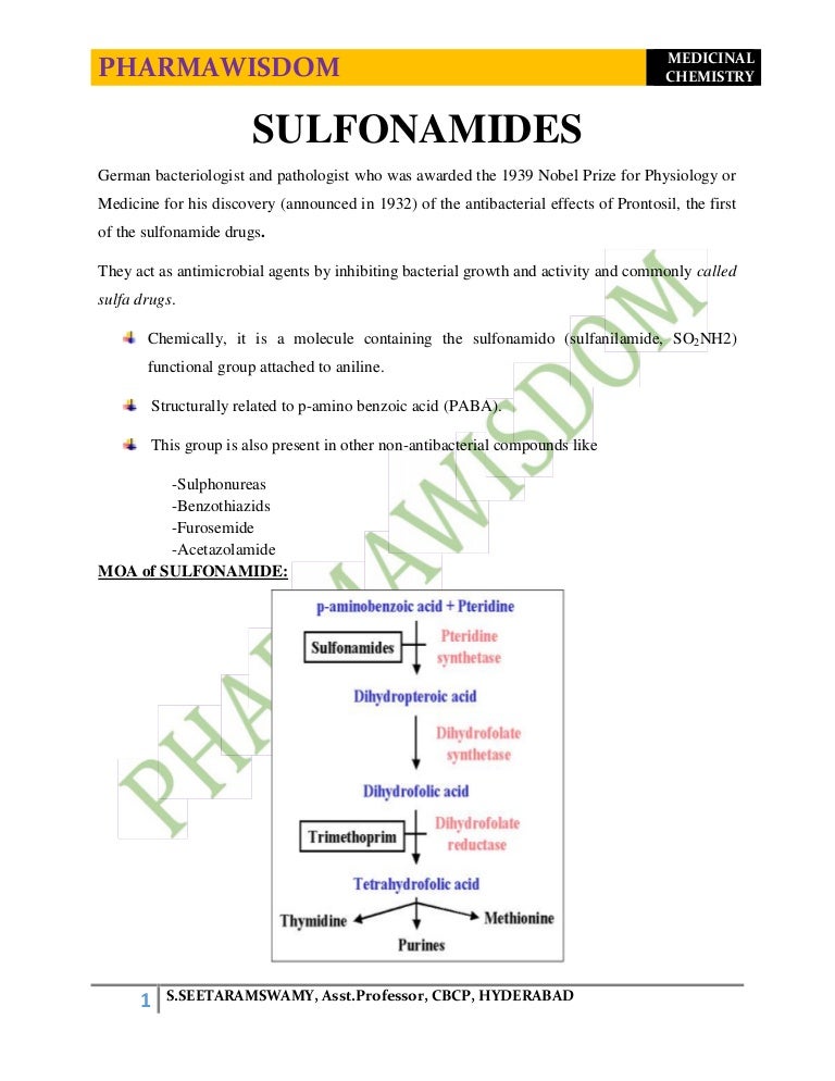 Classifications and Synthesis of Chemotherapeutic Drugs Biology Diagrams