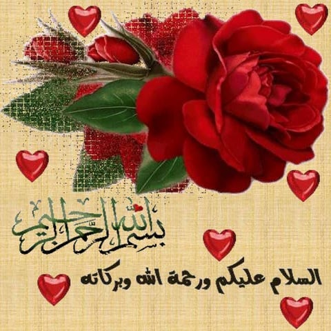 analyse urbaine de la ville de Cherchell